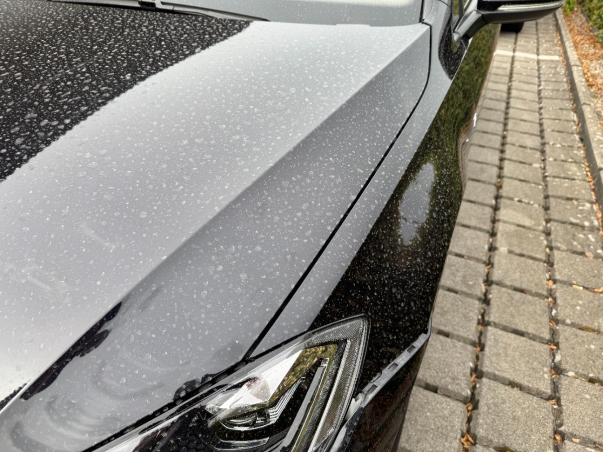 T18