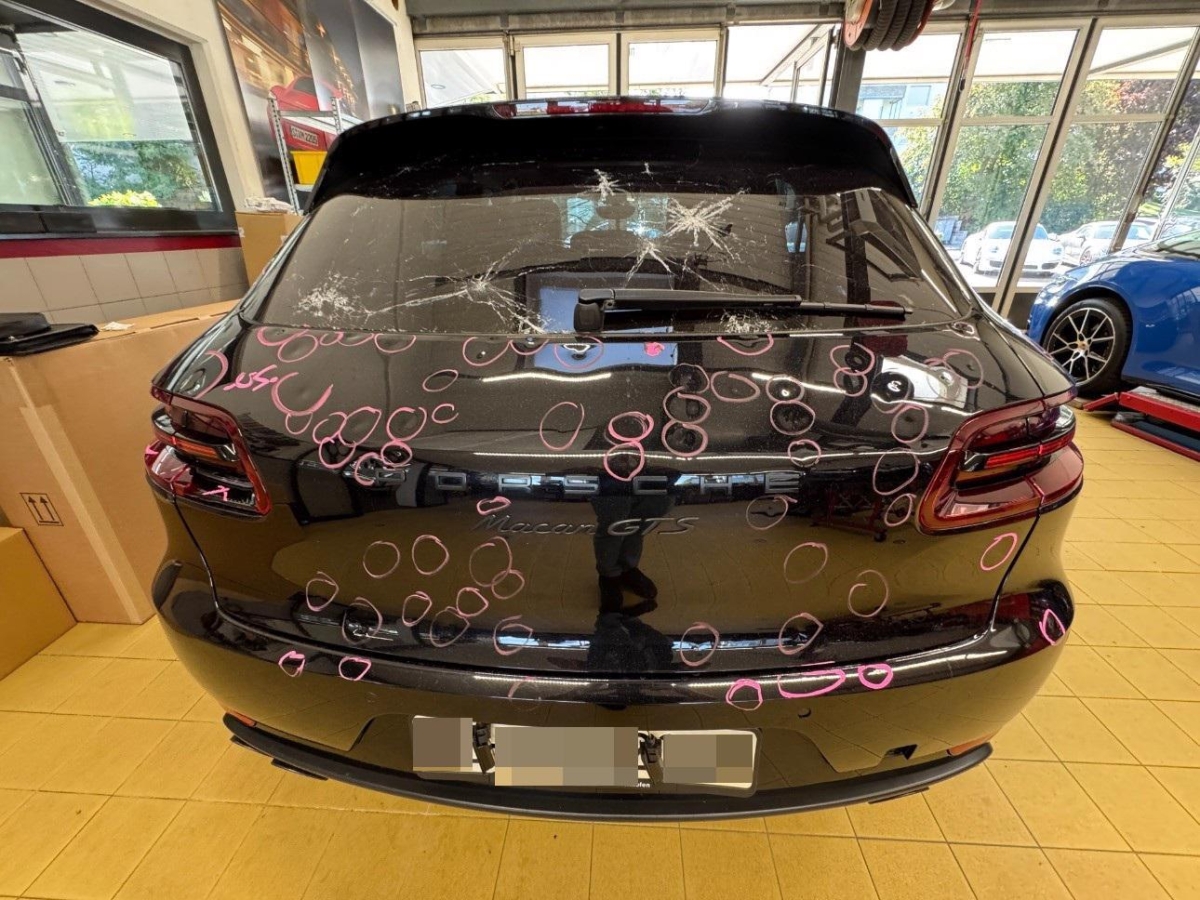 T6