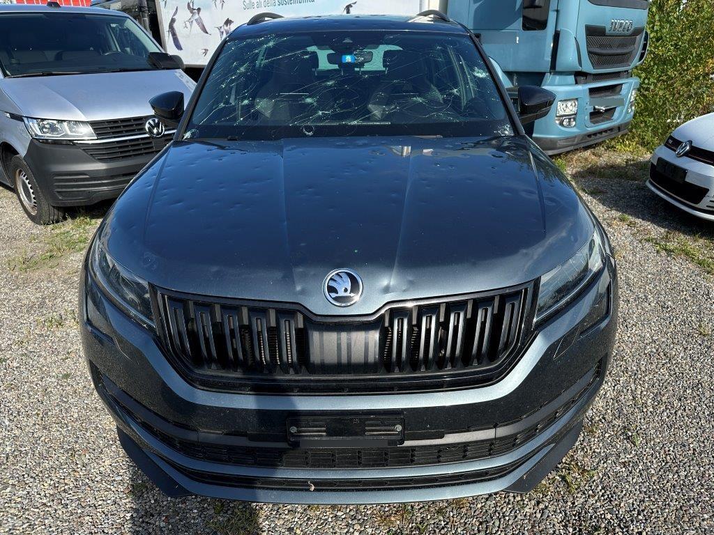 T6