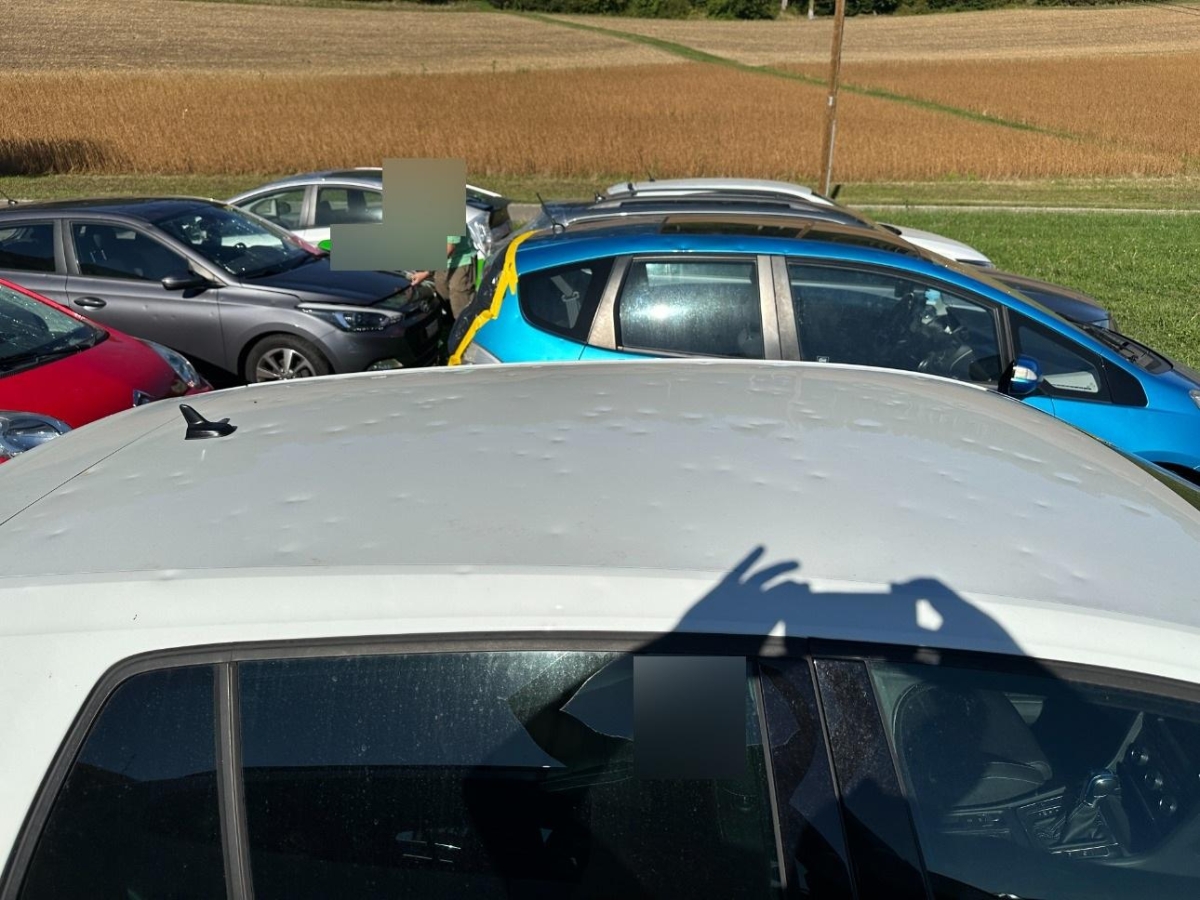 T13
