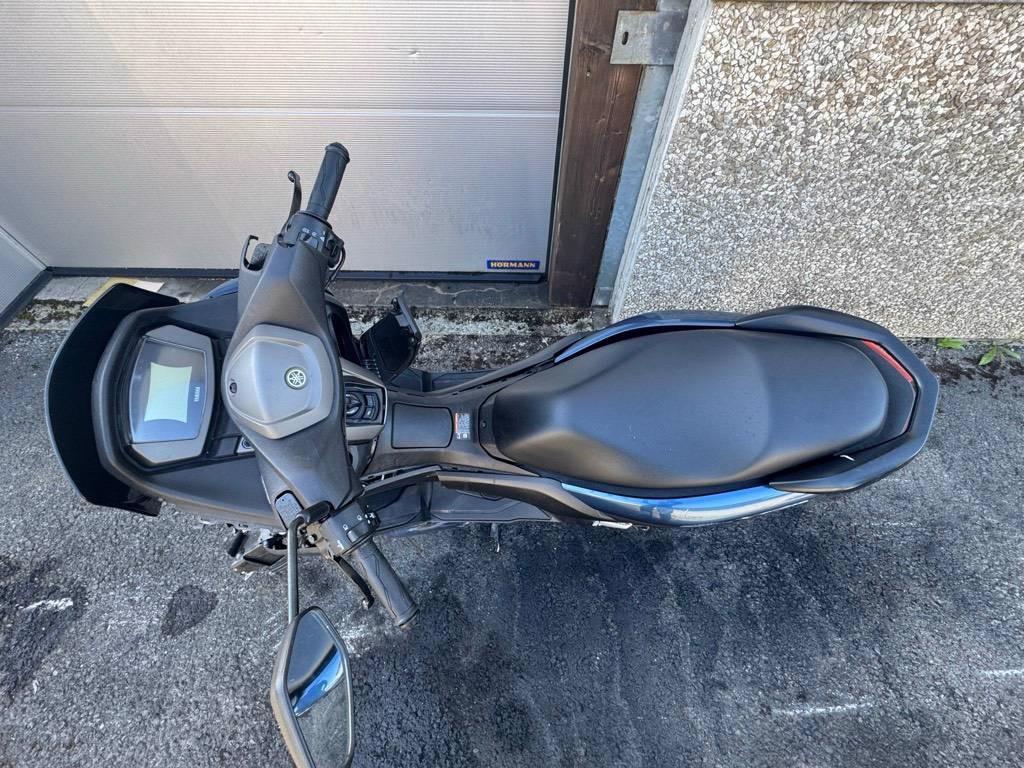 T5
