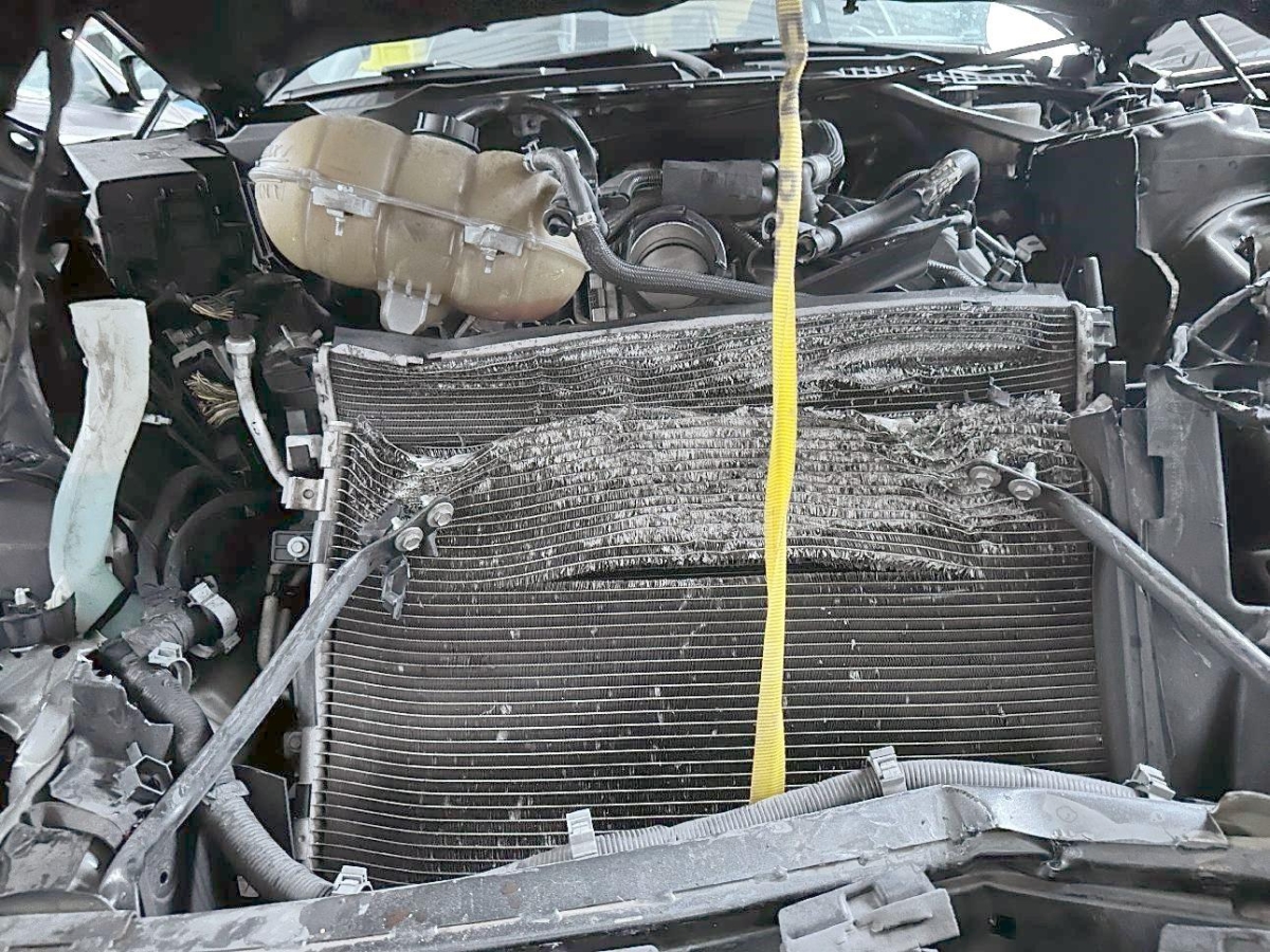 T15