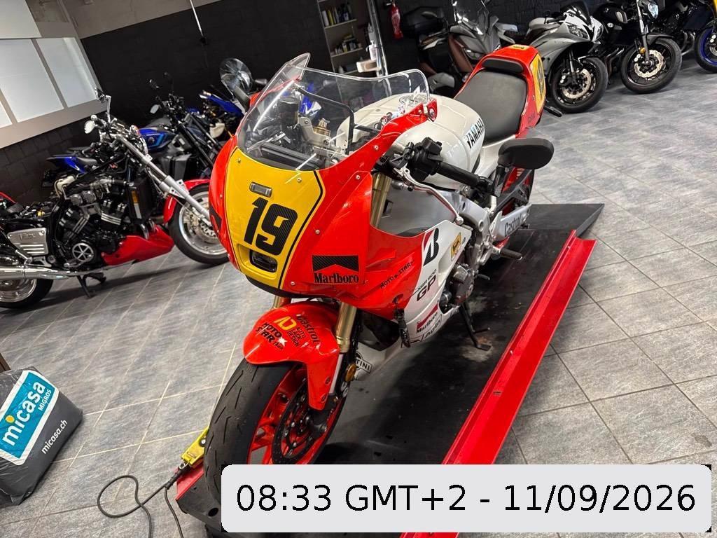 T1