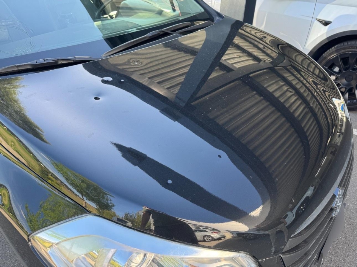 T13