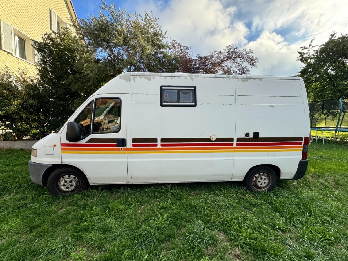T6