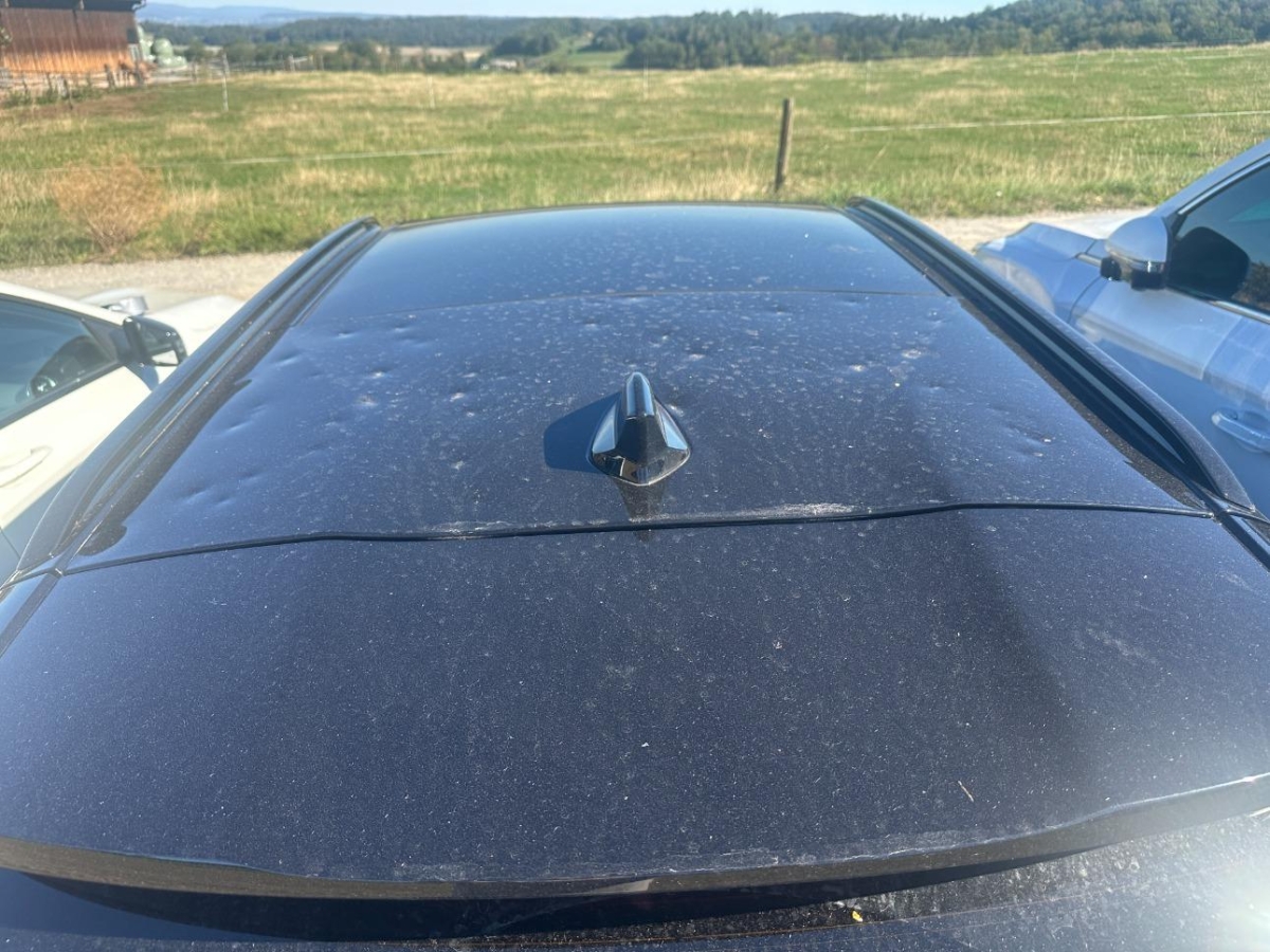 T16