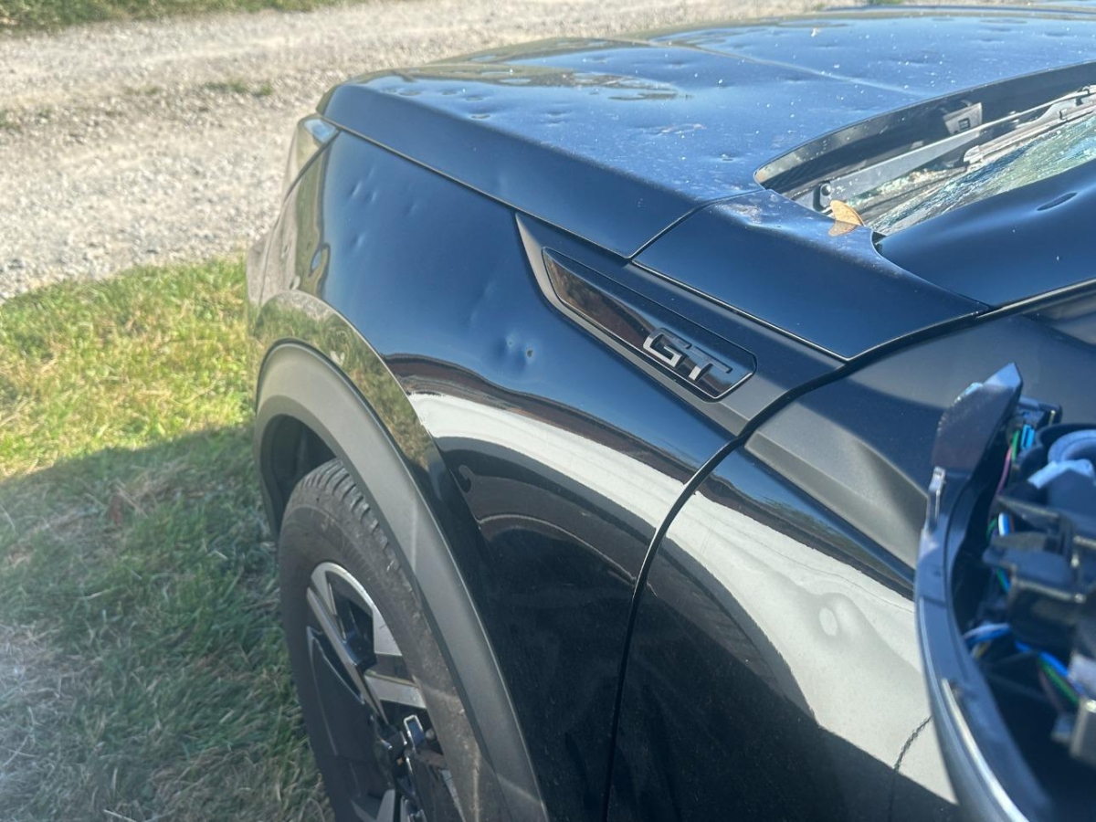 T19