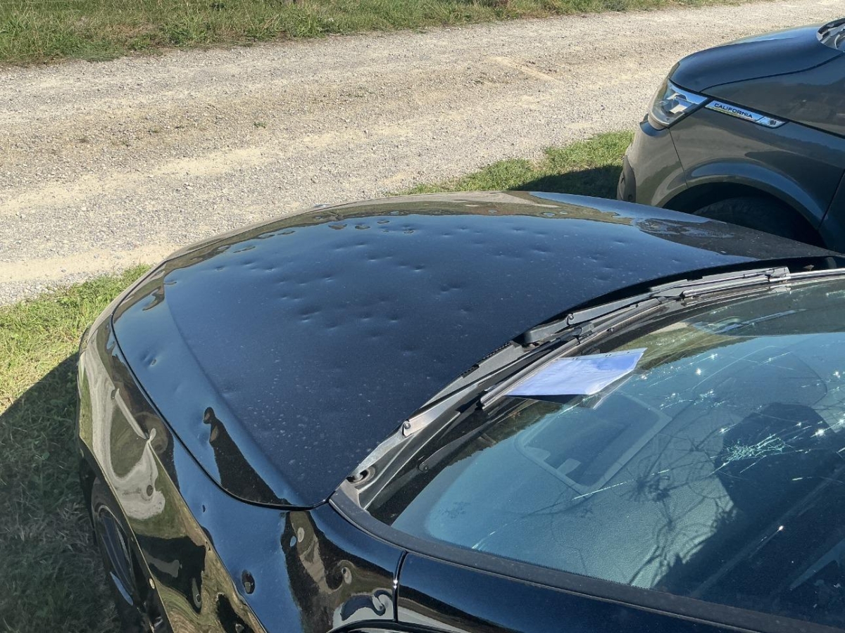 T10