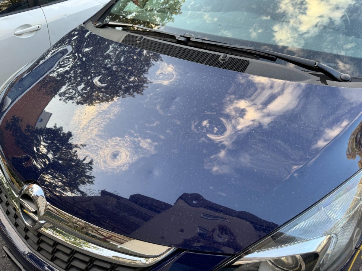 T13