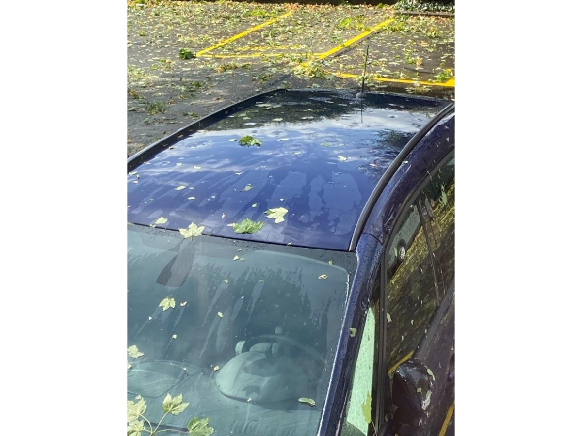 T18