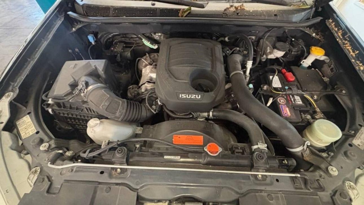 T11