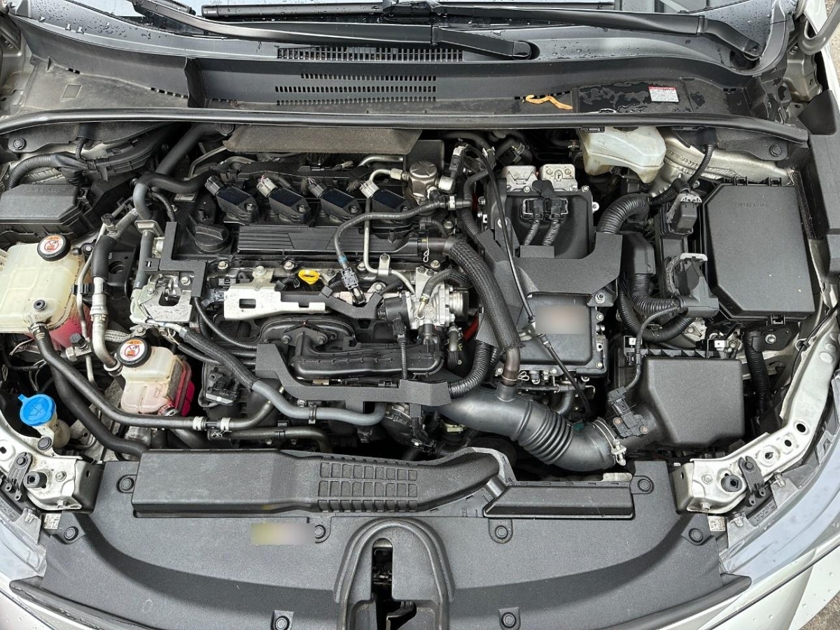 T13