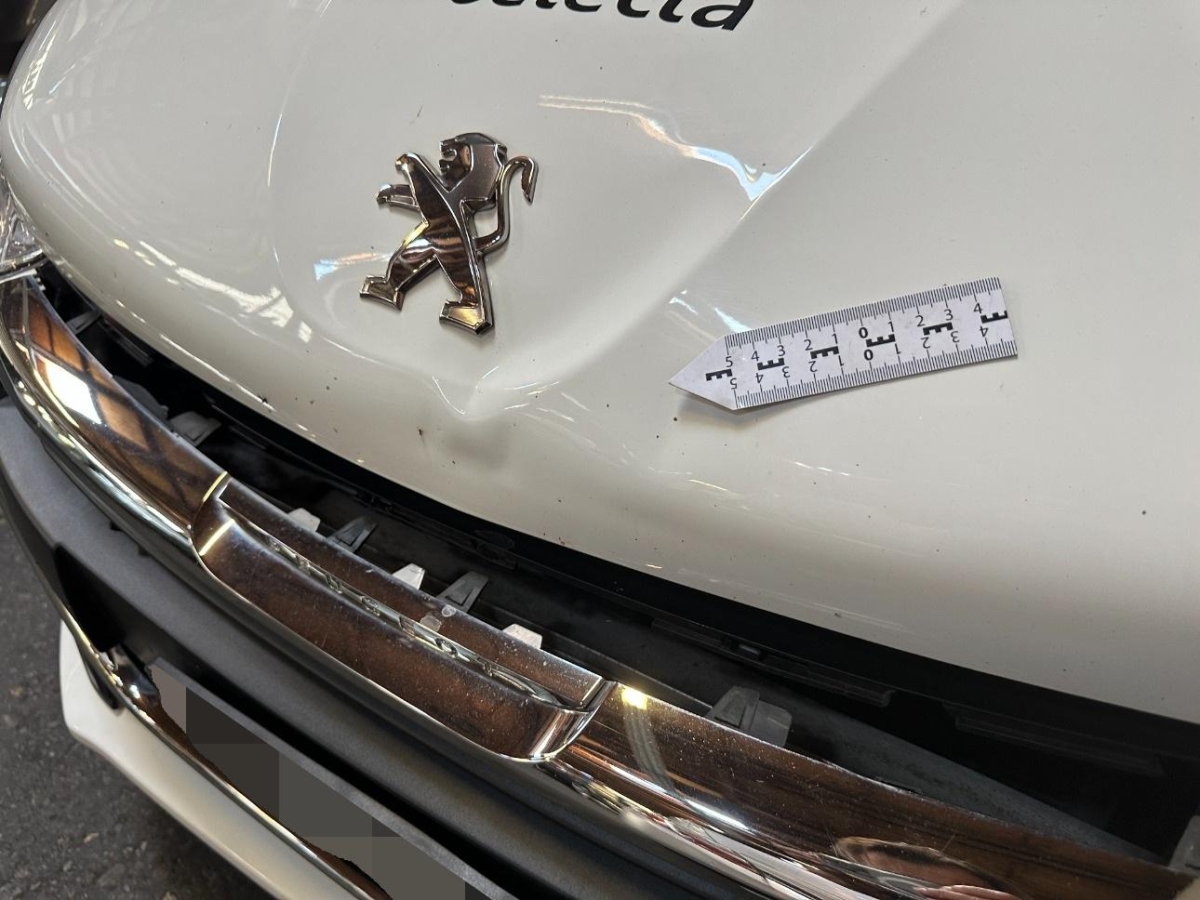 T13