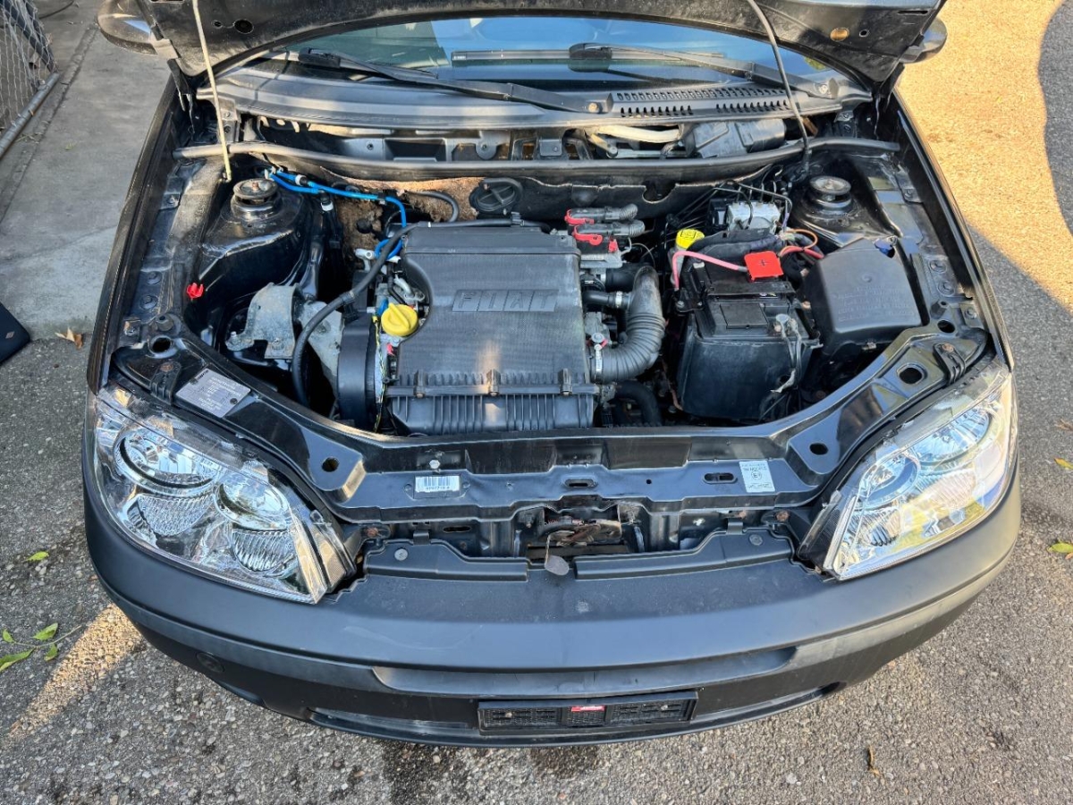 T13