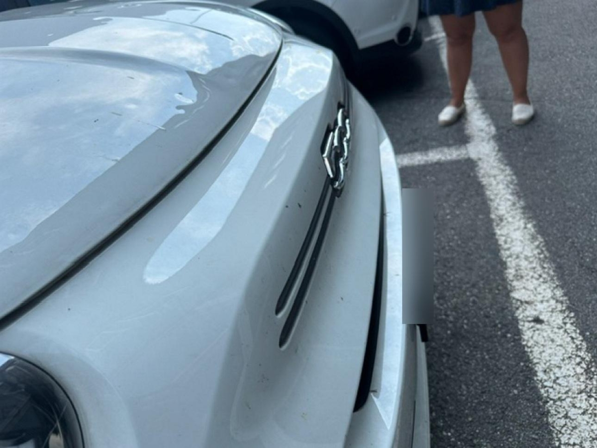 T13