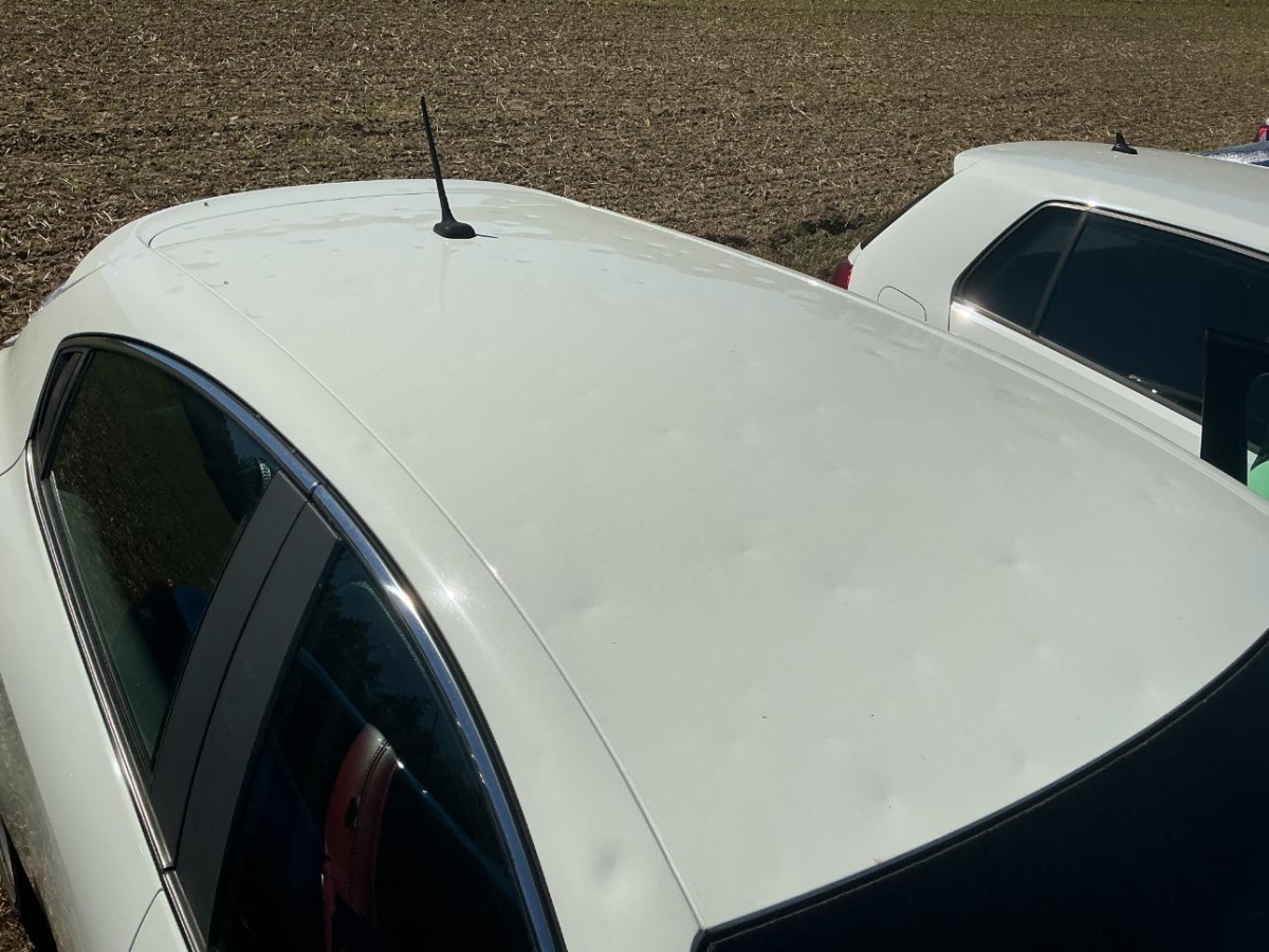 T16