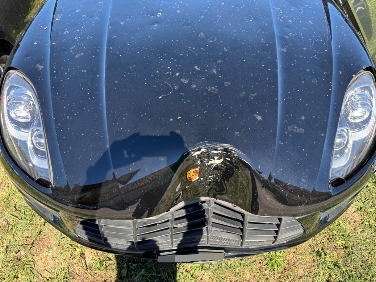 T12