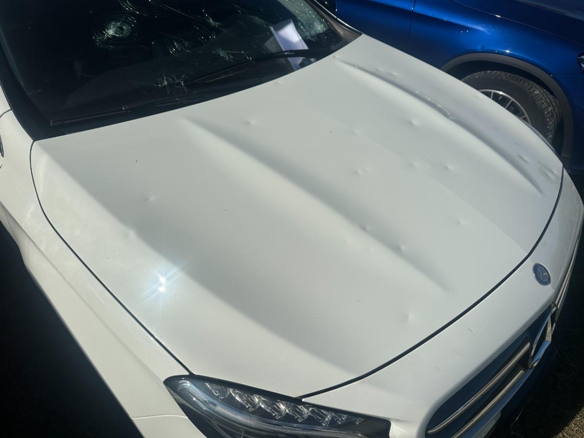 T11