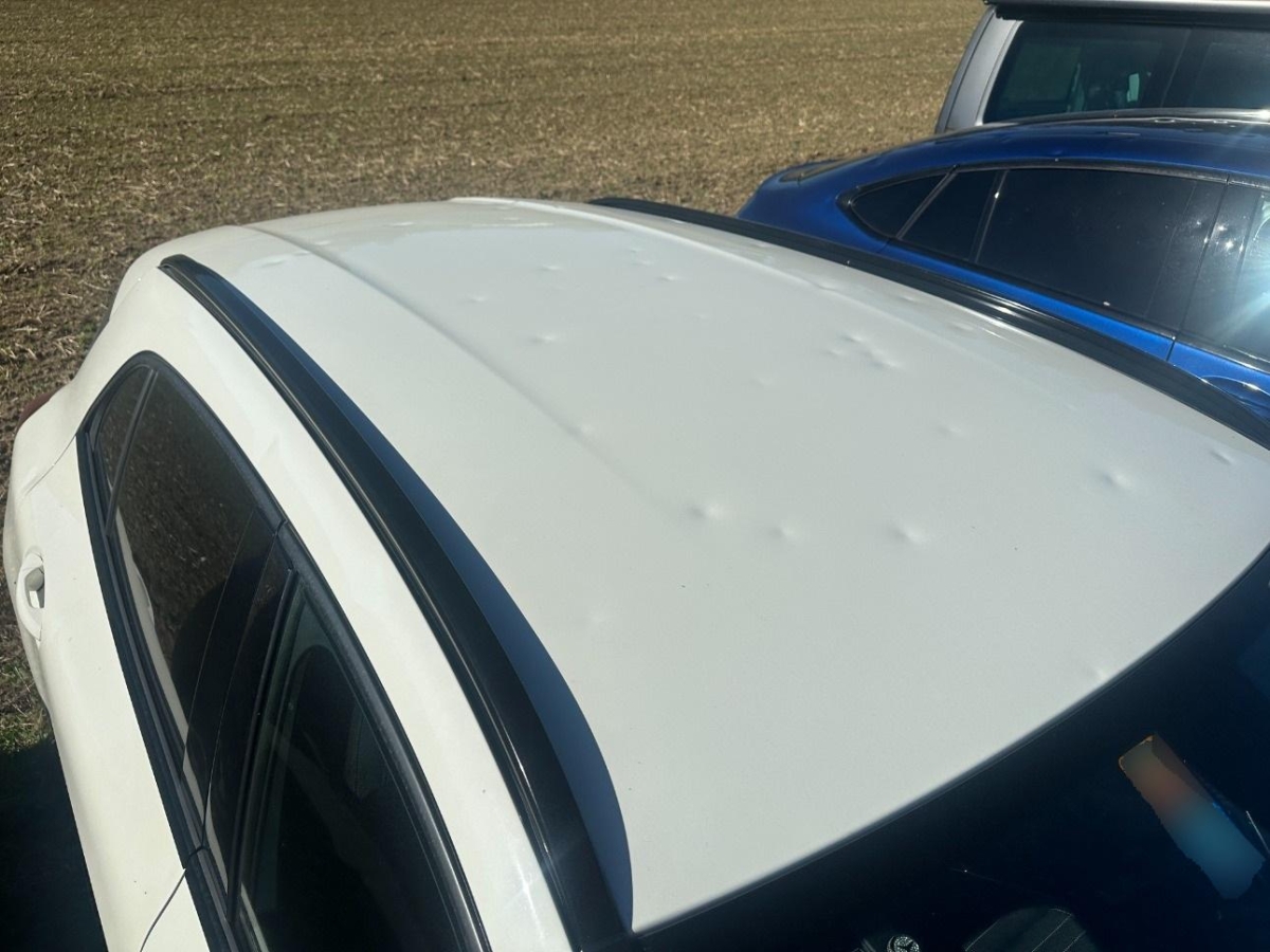 T13