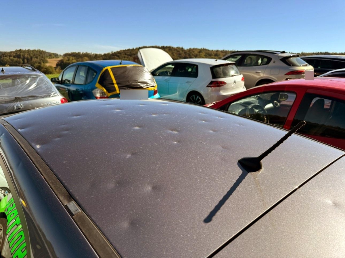 T11