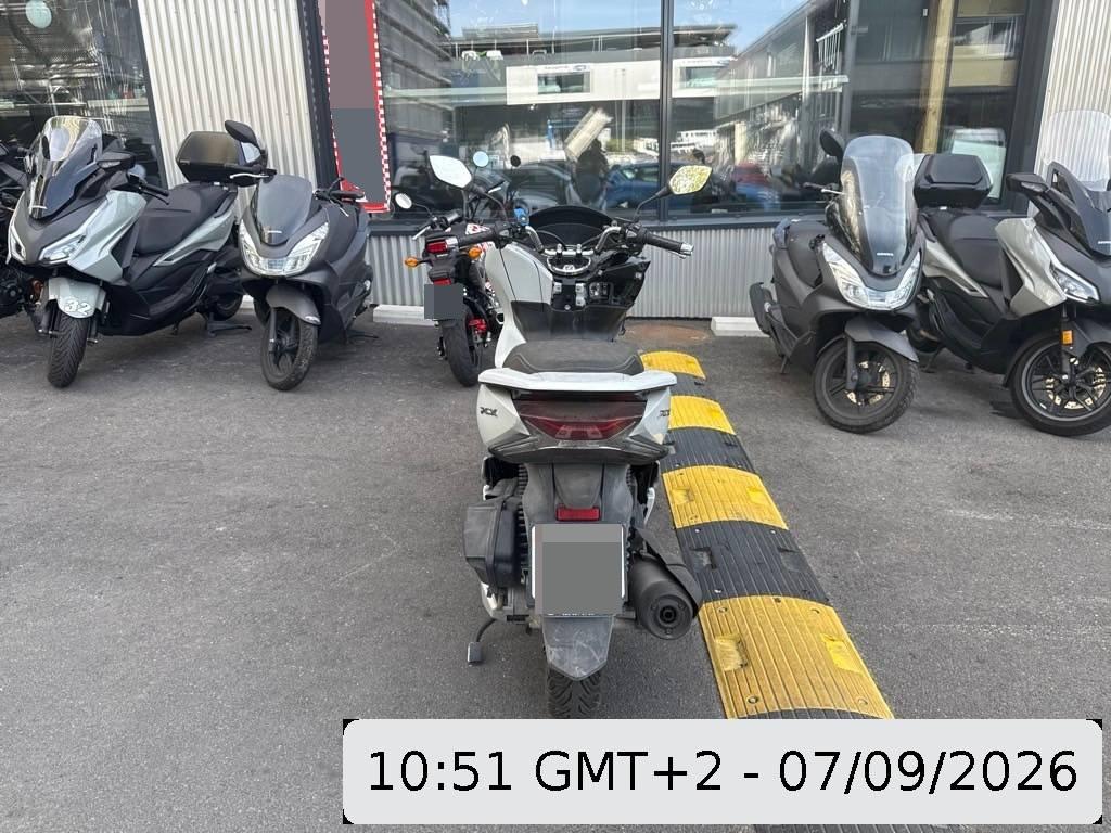 T6