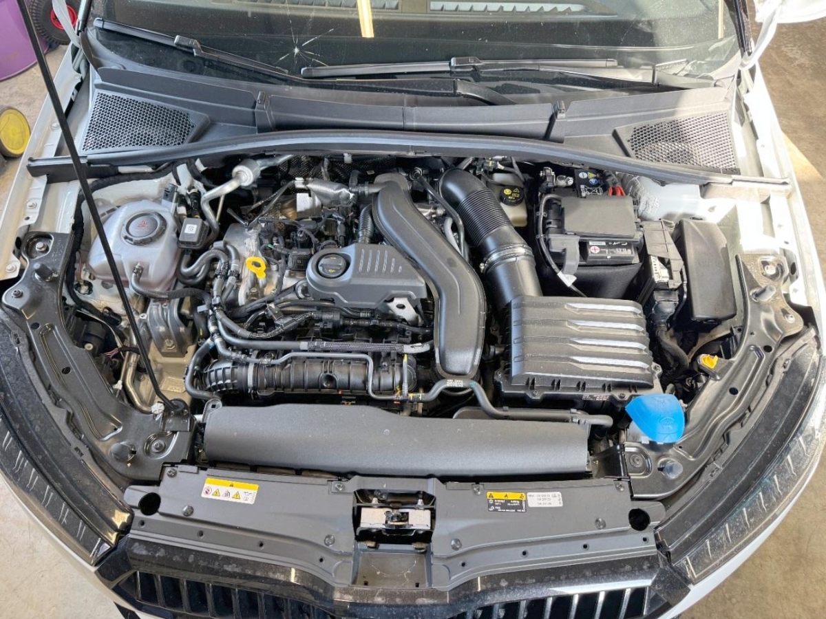 T11