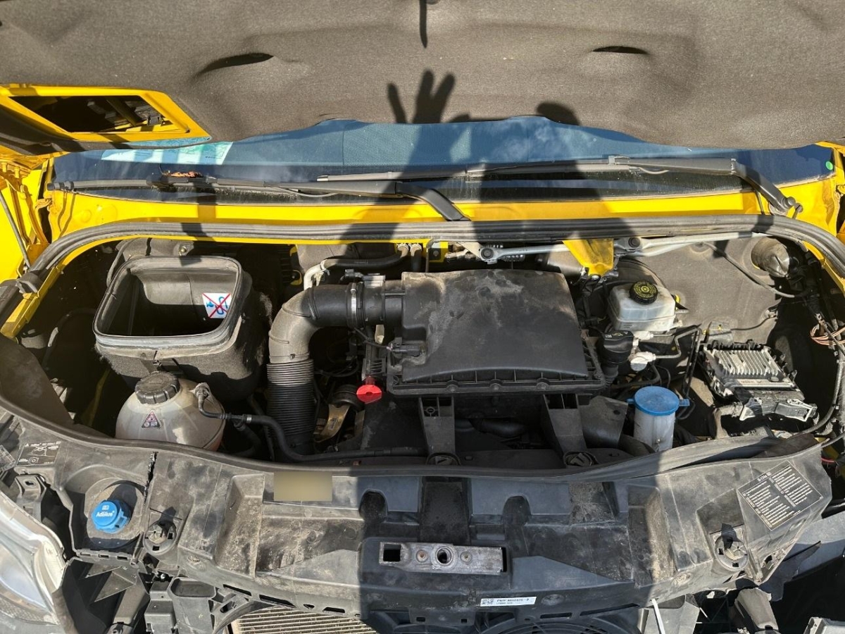 T11