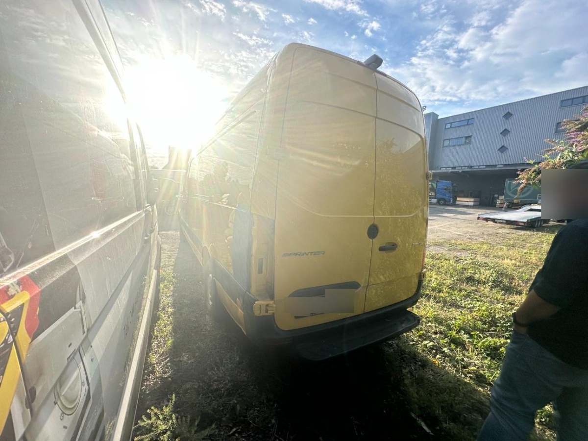 T5