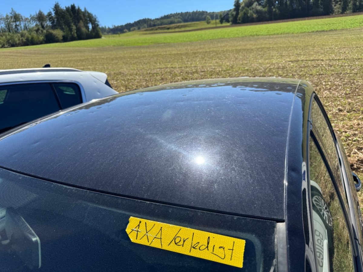 T19
