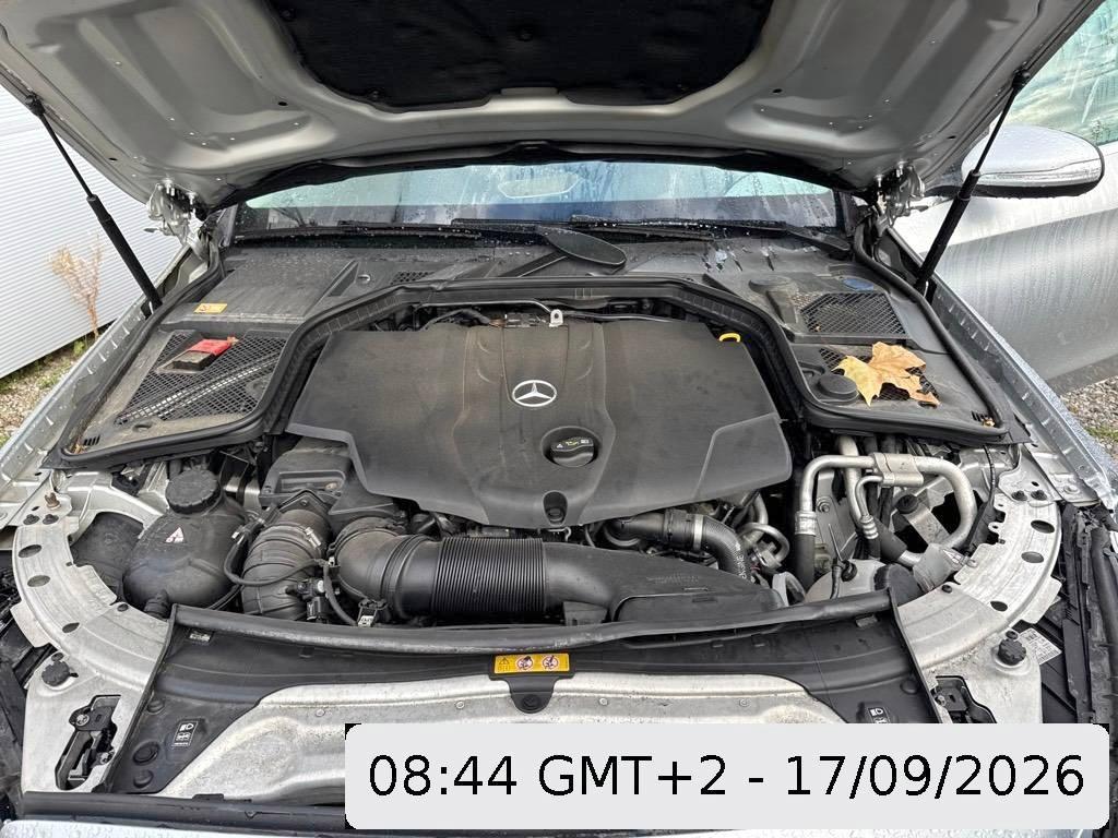 T11
