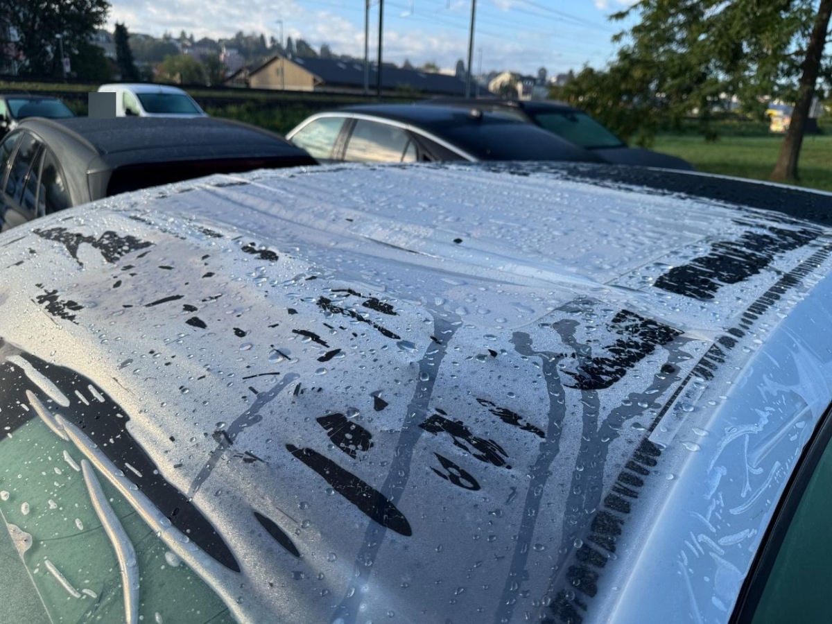 T17