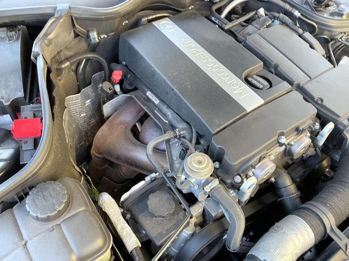 T11