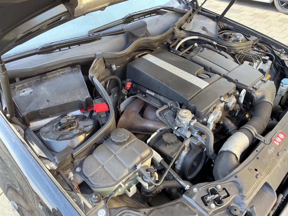 T12