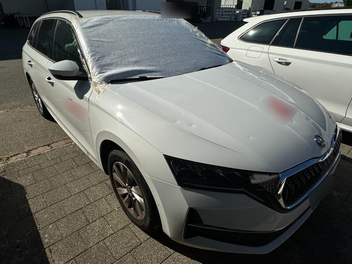 T6