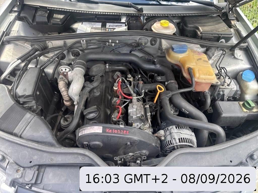 T11