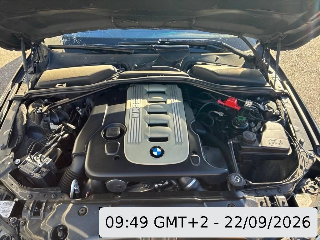 T11