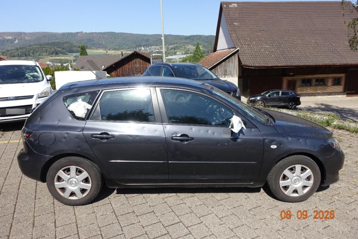 T6