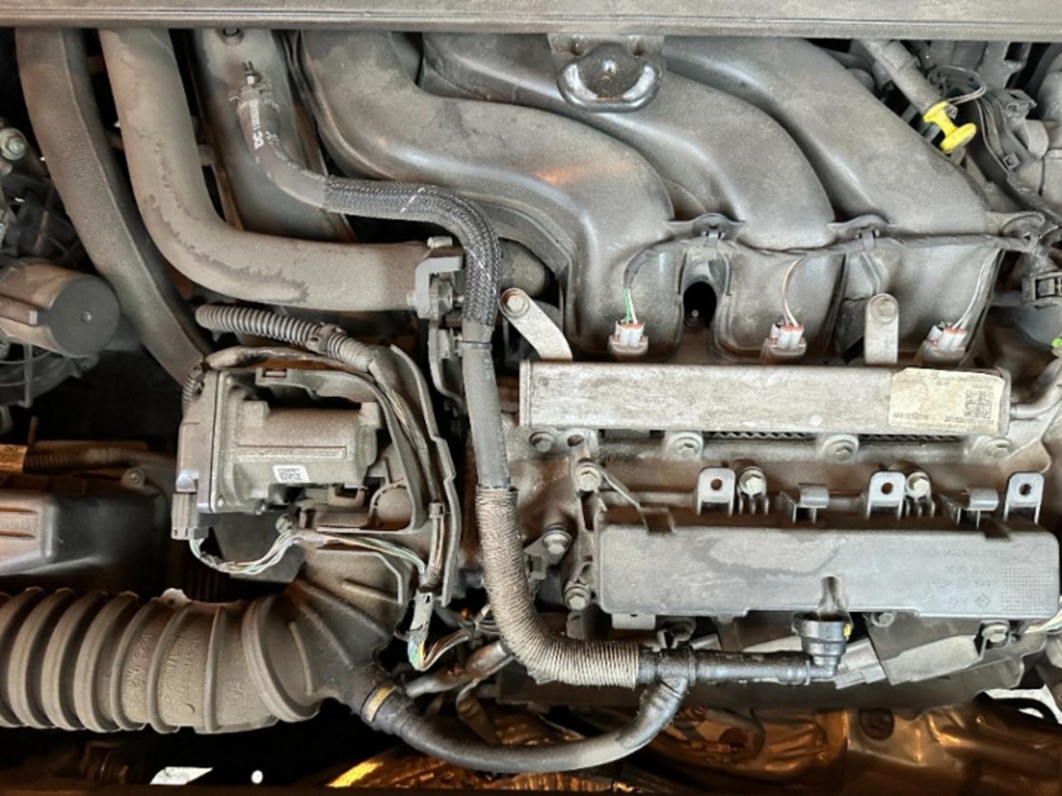 T16