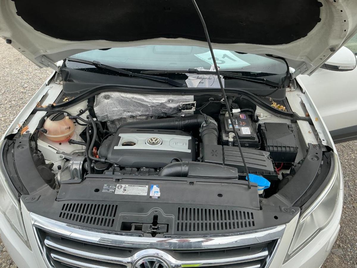 T12