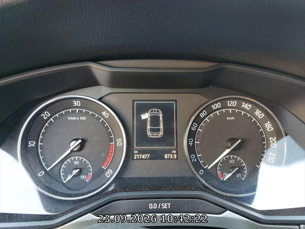 T11