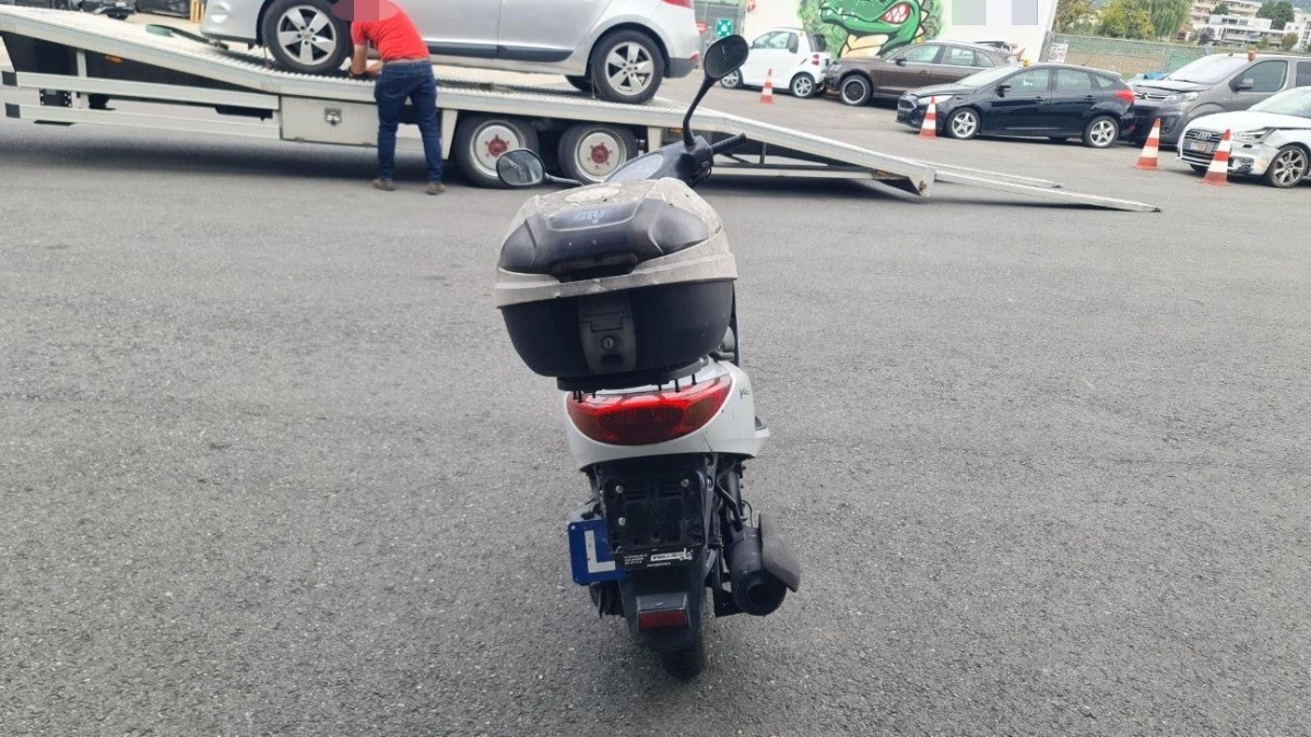 T6