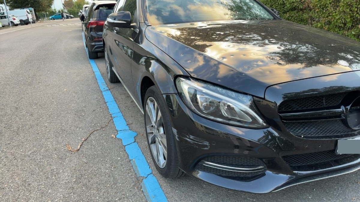 T1