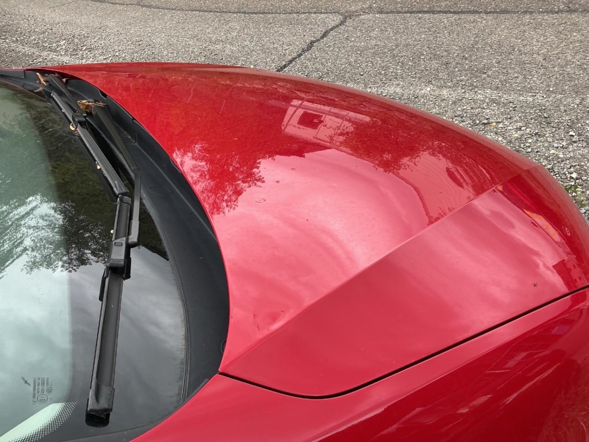 T13