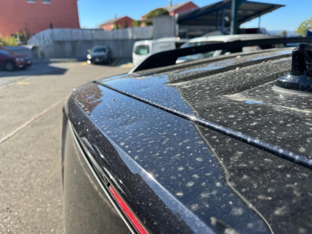 T17