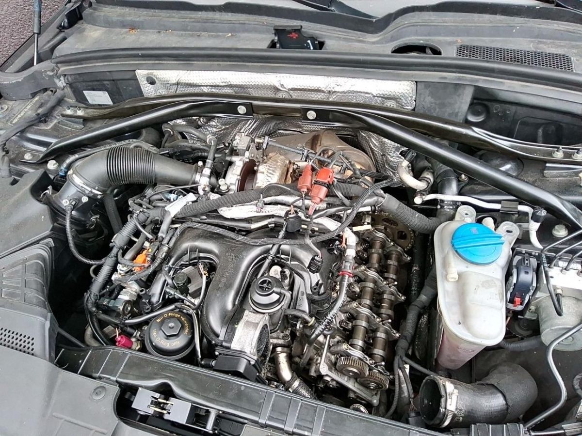 T7