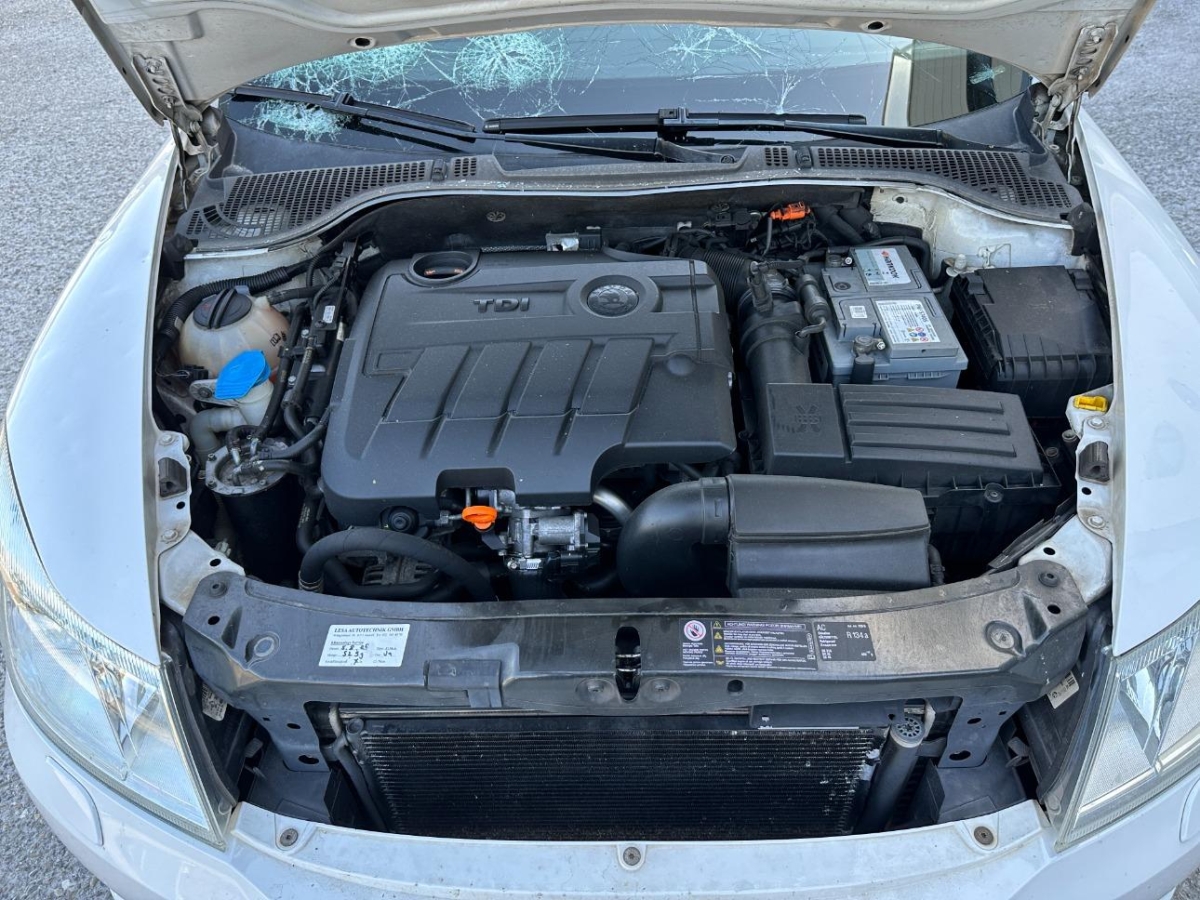 T12