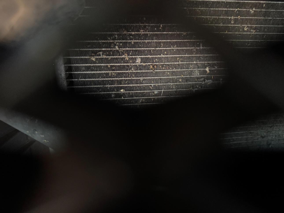 T18