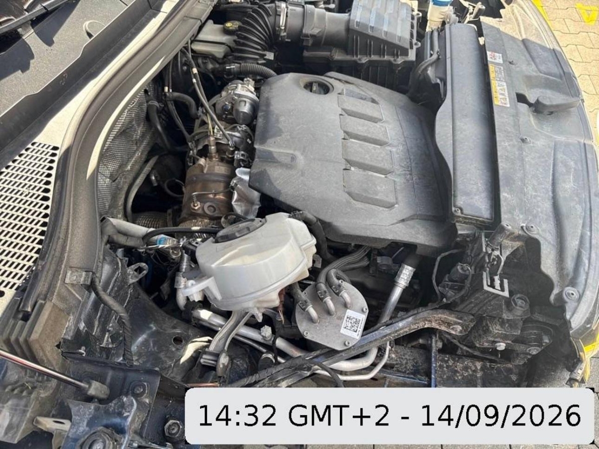 T13