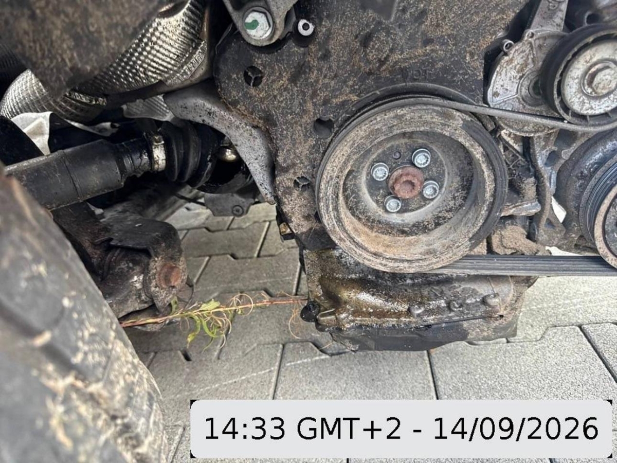 T14