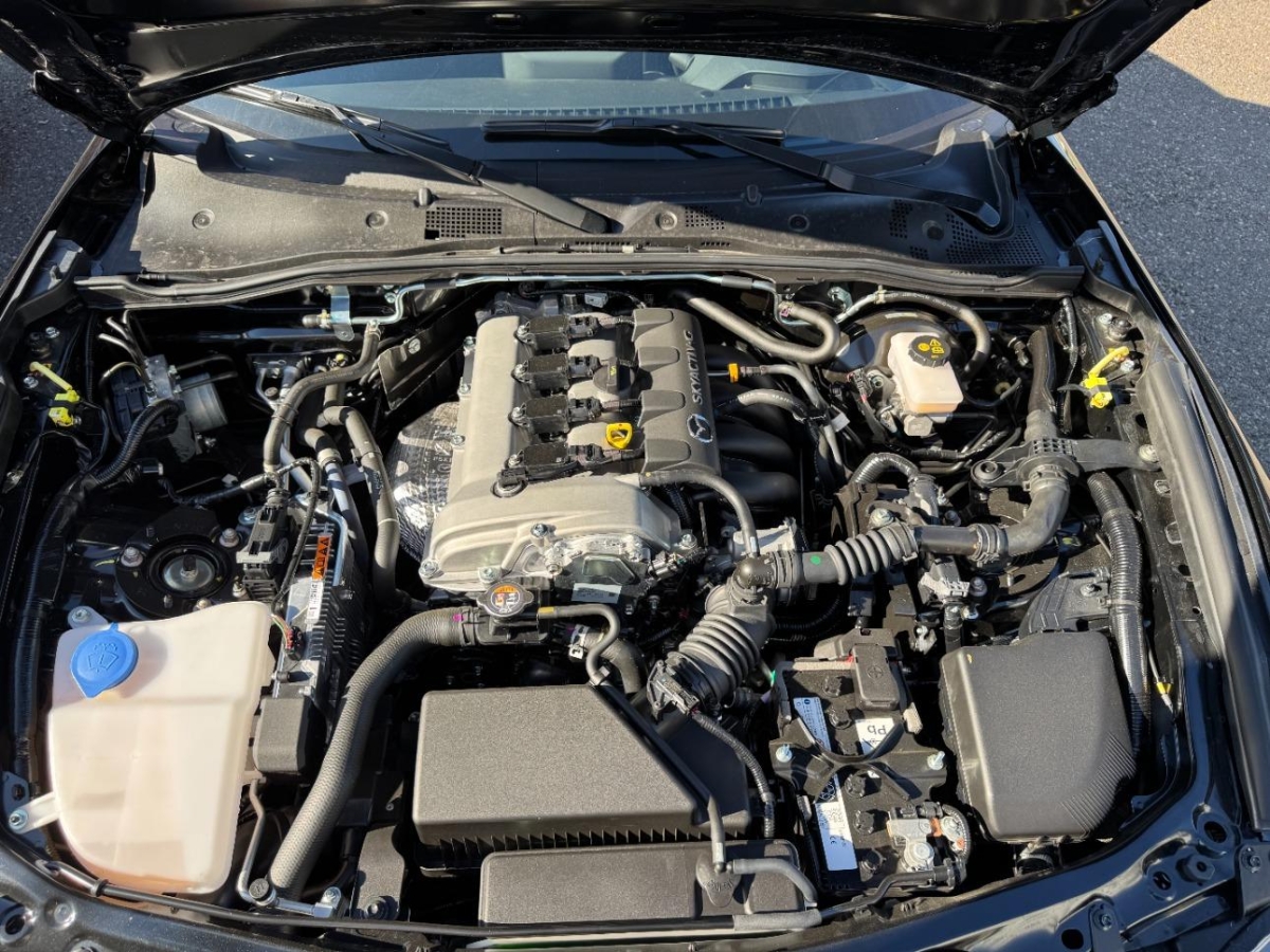 T8